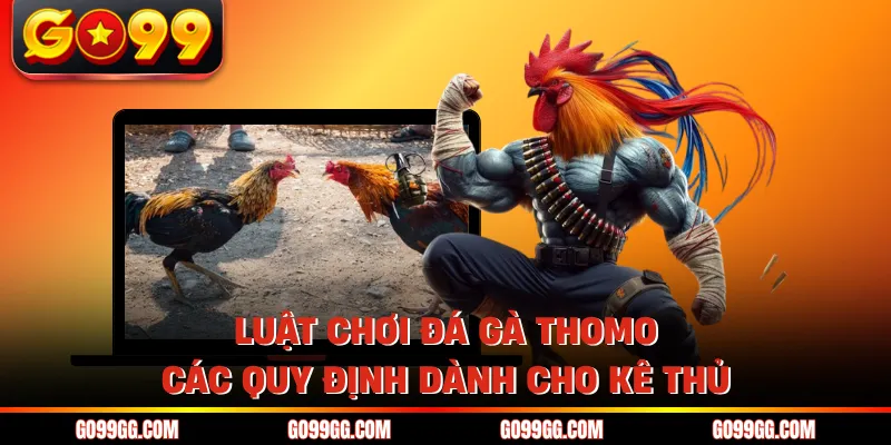 Luật Chơi Đá Gà Thomo - Các Quy Định Dành Cho Kê Thủ 1 Luật Chơi Đá Gà Thomo - Các Quy Định Dành Cho Kê Thủ